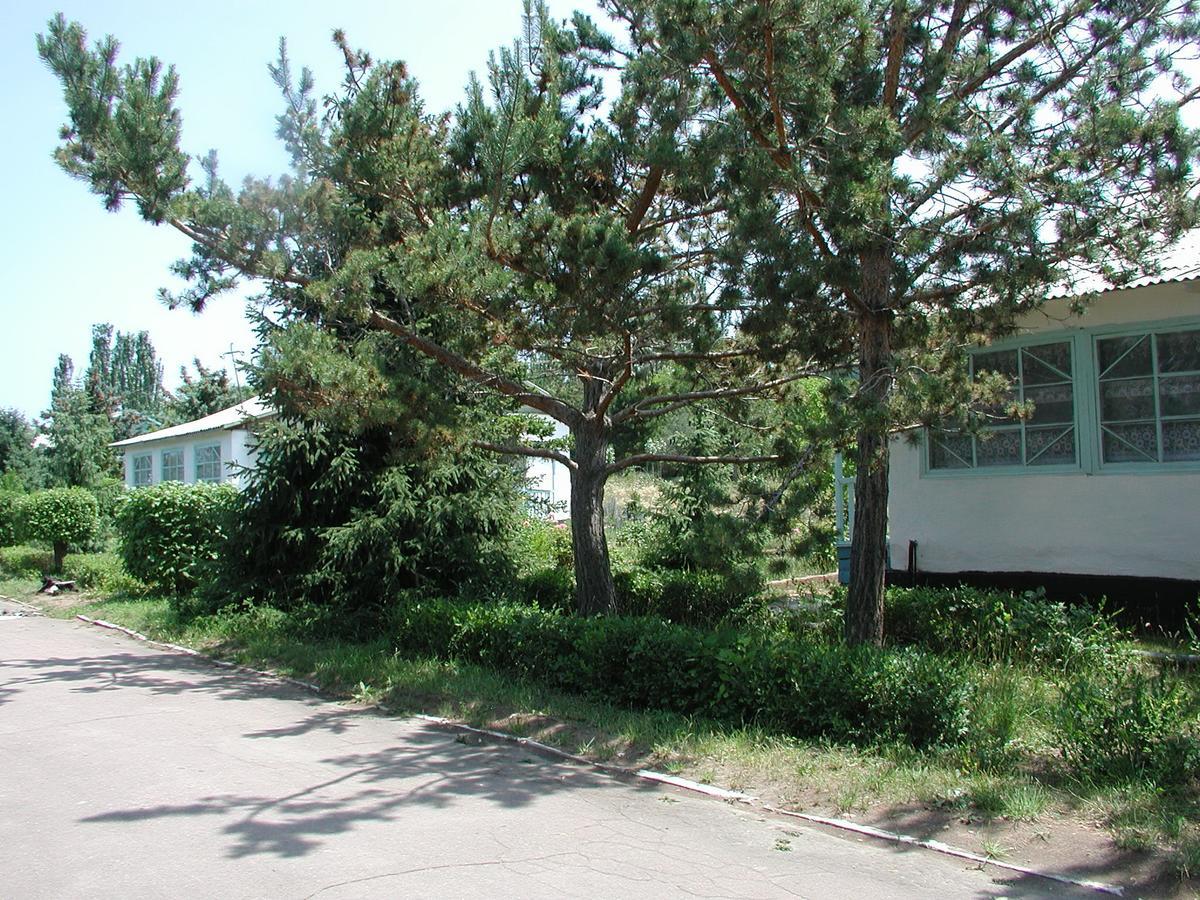 Legenda Health Resort Kaji-Say Екстер'єр фото